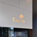 Ceil Laser Cut Ceil-In