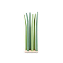 DE VORM Spring