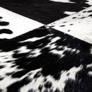 Miinu Cuero black & white Moquette / Tappeti