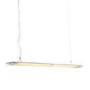 Ayal Rosin 1229 Pendelleuchte Deckenanbauleuchten Langfeldleuchten LED-Leuchten