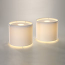 Ayal Rosin Shade
