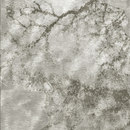 Rainstorm Tania Johnson Design