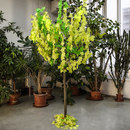 Fleurs herable PROCÉDÉS CHÉNEL