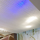PROCÉDÉS CHÉNEL Honeycomb ceiling Contratechos Especiales