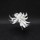 PROCÉDÉS CHÉNEL Fleurs