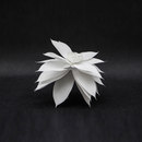 PROCÉDÉS CHÉNEL Fleurs