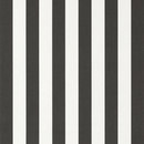 Solids & Stripes Yacht Stripe Charcoal Sunbrella