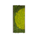 Verde Profilo Moss painting R Picture Accesorios de hogar / oficina Cuadros / Murales Paredes verdes / Jardines verticales
