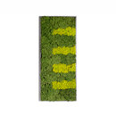 Verde Profilo Moss painting R Picture Accesorios de hogar / oficina Cuadros / Murales Paredes verdes / Jardines verticales