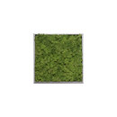 Verde Profilo Moss painting S Picture Accesorios de hogar / oficina Cuadros / Murales Paredes verdes / Jardines verticales