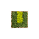 Verde Profilo Moss painting S Picture Accesorios de hogar / oficina Cuadros / Murales Paredes verdes / Jardines verticales