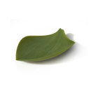 Covo Seasons Dining table accessories