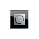 Esprit Glass | Rotary dimmer Gira