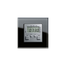 Esprit Glass | Elektronic time clock Gira