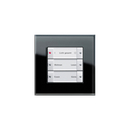 Esprit Glass | Radio wall transmitter Gira
