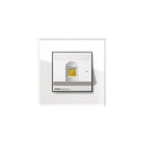 Esprit Glass | Keyless In Gira
