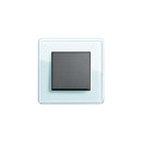 Esprit Glass C | Switch range Gira
