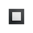 Esprit Aluminium Schwarz | Switch range Gira