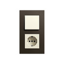 Esprit Wenge wood | Switch range Gira