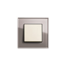 Esprit Glass | Switch range Gira