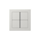 FD-design sensor JUNG