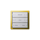 F100 | Blind controller Gira