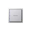 F100 | Panic control switch Gira