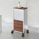 Assmann Büromöbel Pontis Storage / Filing