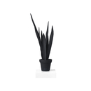 JAN WILLEM de LAIVE Sanseveria Black/White Accessoires d'habitat / de bureau Complémentaires