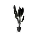 JAN WILLEM de LAIVE Strelitzia Black/White Accessoires d'habitat / de bureau Complémentaires