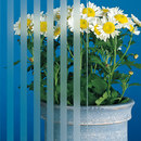 SatenDecor® Mil Rayas 10x10 Sevasa