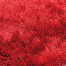 SG Suave red KYMO