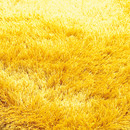 SG Suave yellow KYMO