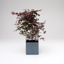 Phase Design Skyline Planter Living-room / Office complements Planting