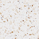 STARON® Tempest twilight Staron