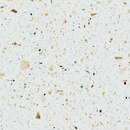 STARON® Tempest horizon Staron