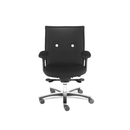LÖFFLER KNOPFLER Swivel chairs