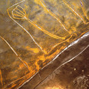 Stucco Pompeji Superficie Arredamenti d'interno personalizzati Intonaci / Pitture
