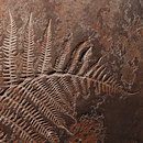 Stucco Pompeji Embossing technique Bespoke interior works Wall coatings / paints