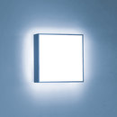 Cubic X2 Lightnet