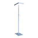 Cubic S4 Lightnet