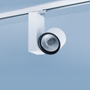 Midpoint F Lightnet