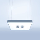 Cubic P2 Lightnet
