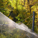 Carl Stahl X-TEND | Zoological facility Facade systems / Cladding systems Metal Rope systems