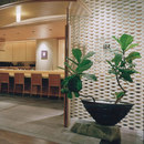 Ceramic screen in-situ Kenzan