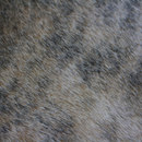 Cowhide KURTH Manufaktur