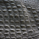 KURTH Manufaktur Leather croco embossed Cuir / Similicuir Cuir: sols Cuir: tissus d'ameublement Tissus d'ameublement