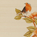 Fap Ceramiche Voyage Rio Ceramica Ceramica/argilla: lastre Ceramica/argilla: piastrelle Piastrelle per pareti