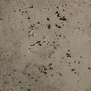 IVANKA Panel Porous Ervin Grey Concrete / Cement Concrete/cement: facade panels Concrete/cement: slabs Facade systems / Cladding systems Wall panels