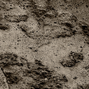 IVANKA Panel Raw Ervin Grey Concrete / Cement Concrete/cement: facade panels Concrete/cement: slabs Facade systems / Cladding systems Wall panels